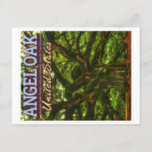 CARTE POSTALE ANGEL OAK - CHARLESTON SOUTH CAROLINA US