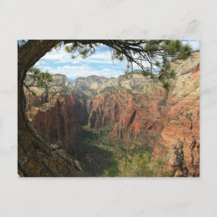 Carte Postale Angels Landing