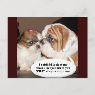 Carte Postale Anglais Bulldog Attention !