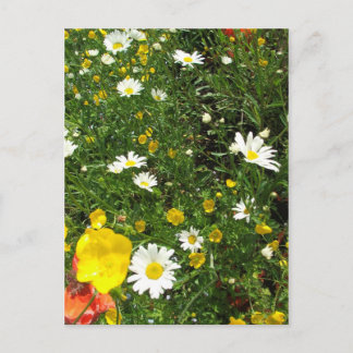 Carte Postale Anglais Cottage Garden