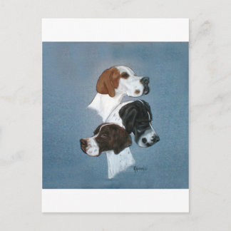 Carte Postale Anglais Pointer Trio Head Study