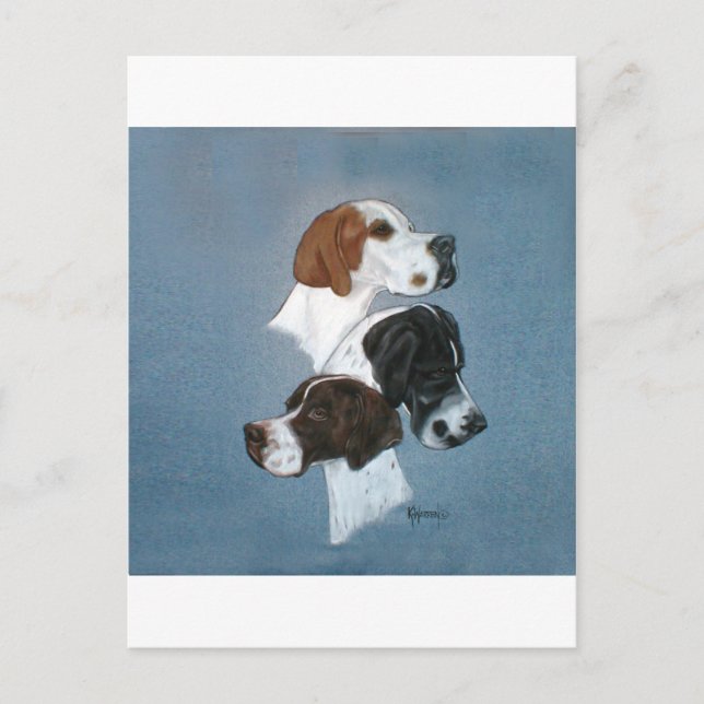 Carte Postale Anglais Pointer Trio Head Study (Devant)