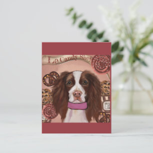 Carte Postale Anglais Springer Spaniel