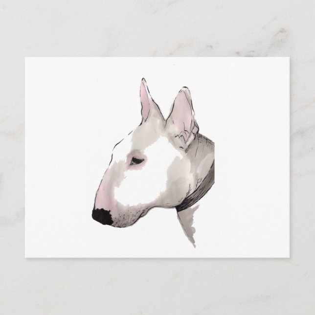 carte postale anglaise bull terrier (Devant)