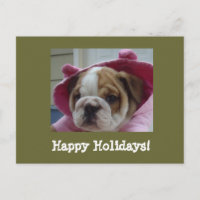 Carte postale anglaise de Bulldog Happy Holidays