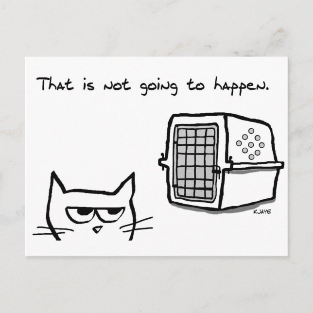 Carte Postale Angry Cat ne sera pas aller à l'vétérinaire (Devant)