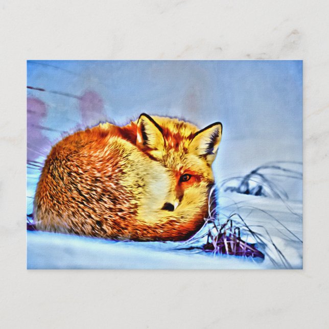 Carte Postale *~* Anima Red Fox Ap18 Artistic Wildlife Unique (Devant)