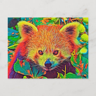Carte Postale AnimalColor_RedPanda_001