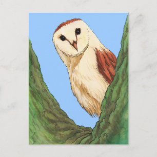 carte postale animale de chouette des neiges