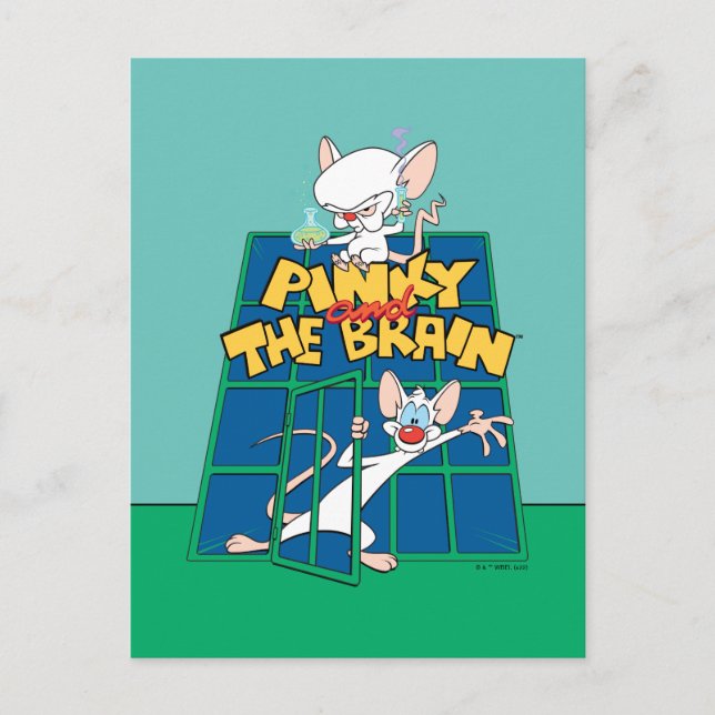 Carte Postale Animaniacs | Pinky et le graphique de la cage céré (Devant)