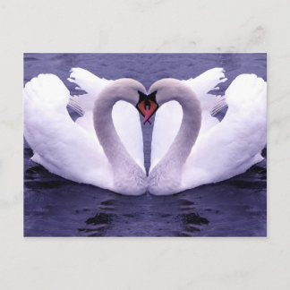 Carte postale Animaux 30