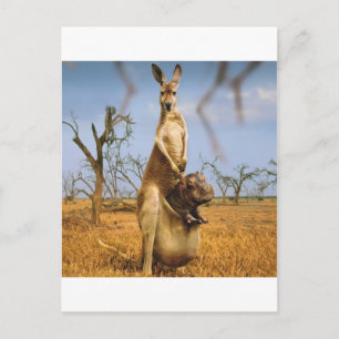 Carte Postale Animaux Abstraits Kangaroo Baby Shock