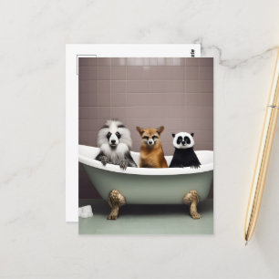Carte Postale Animaux amusants assis dans la baignoire dans la s