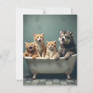 Carte Postale Animaux amusants dans la baignoire