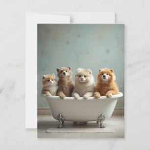Carte Postale Animaux amusants dans la baignoire