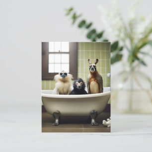 Carte Postale Animaux amusants dans la salle de bain
