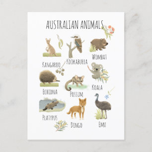 Carte Postale Animaux australiens