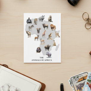 Carte Postale Animaux d'Afrique Safari Faune