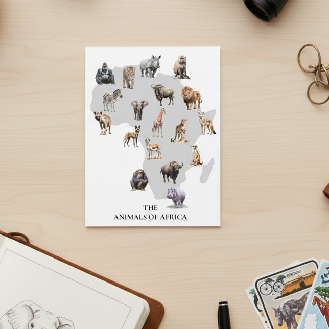Carte Postale Animaux d'Afrique Safari Faune (Créateur téléchargé)