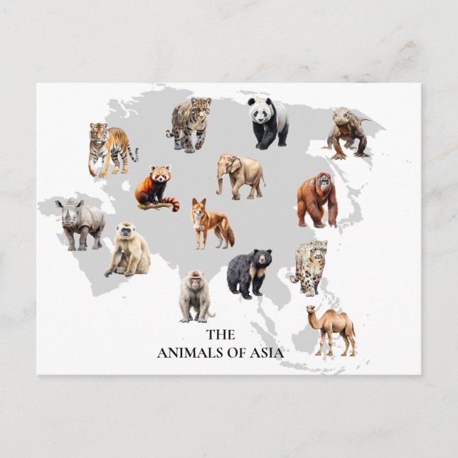 Carte Postale Animaux d'Asie (Devant)