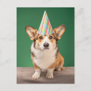 Carte Postale Animaux de bébés cutest Corgi Anniversaire Chiot