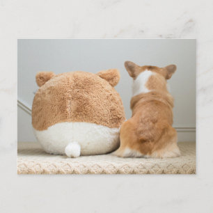 Carte Postale Animaux de bébés cutest Corgi & Plush Puppy