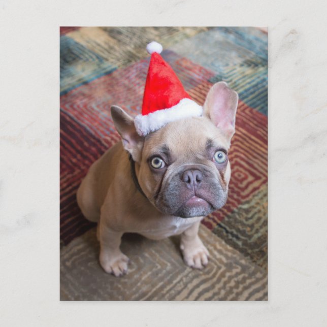 Carte Postale Animaux de bébés cutest | French Bulldog Christmas (Devant)
