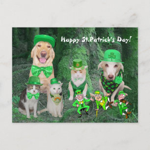 Carte Postale Animaux de compagnie et Leprechauns
