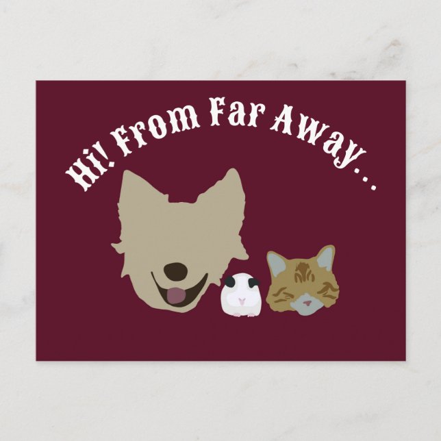 Carte Postale Animaux de compagnie qui se connectent sur vous (Devant)