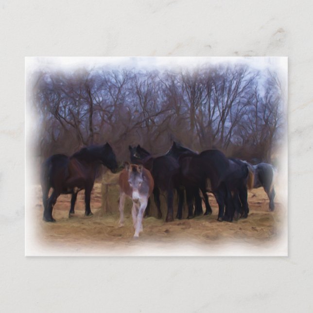 Carte Postale animaux de ferme (Devant)