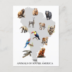 Carte Postale Animaux de la faune d'Amérique du Sud