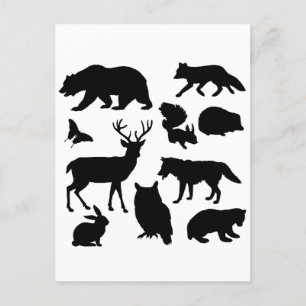 Carte Postale Animaux De La Forêt, Faune
