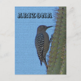 Carte Postale Animaux de l'Arizona Gila Pic sur Tall Cactus