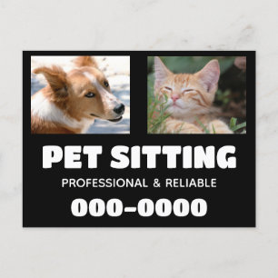 Carte Postale Animaux domestiques Entreprises avec photos de chi
