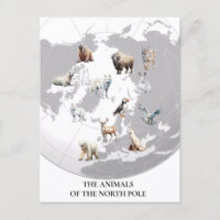 Animaux du pôle Nord Arctique