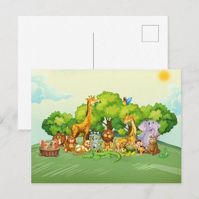 Carte Postale Animaux zoo (Devant / Derrière)