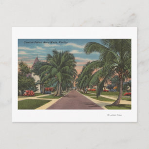 Carte Postale Anna Maria, Floride - Vue sur Palms le long de la 