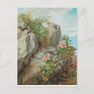 Carte Postale Anna Stainer-Knittel Vintage Rose alpine