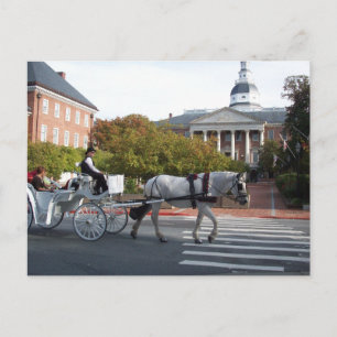 Carte Postale Annapolis Horse and Carriage Ride