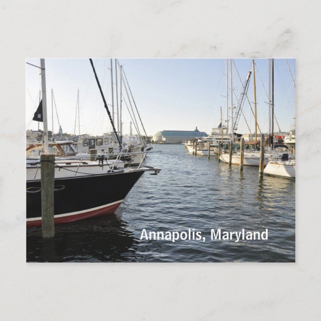 Carte Postale Annapolis, Maryland (Devant)