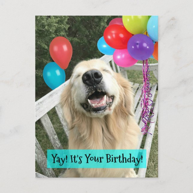 Carte Postale Anniversaire avec un chien Retriever doré et des b (Devant)