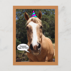 Carte postale Anniversaire - Bess Horse