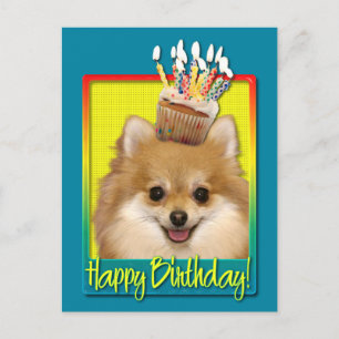 Carte Postale Anniversaire Cupcake Pomeranian
