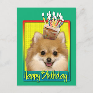 Carte Postale Anniversaire Cupcake Pomeranian