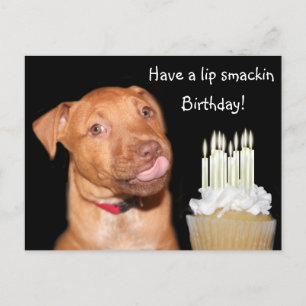 Carte Postale anniversaire de chiot Pitbull