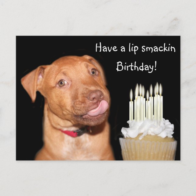 Carte Postale anniversaire de chiot Pitbull (Devant)