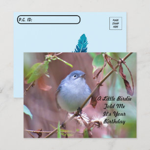 Carte postale Anniversaire de Little Birdie