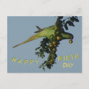 Carte postale Anniversaire de Parakeet à anneau ro
