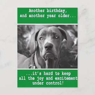 Carte Postale Anniversaire de photo de chien personnalisée drôle