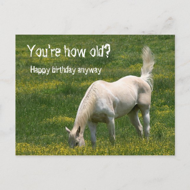 Carte Postale Anniversaire du cheval (Devant)